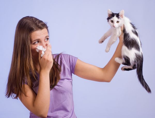 Alergia al pelaje de animales - De qué trata, cuáles son los síntomas y cómo tratarla